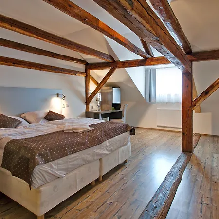 Aparthotel U Tri Hrusek & Ceske Budejovice