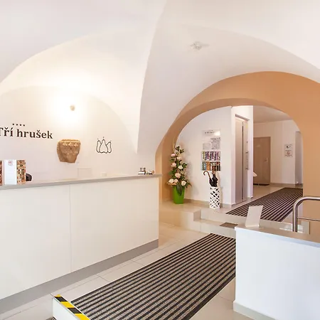U Tří Hrušek Suites&apartments 4*