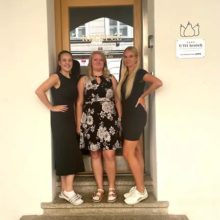 U Tří Hrušek Suites&apartments Aparthotel