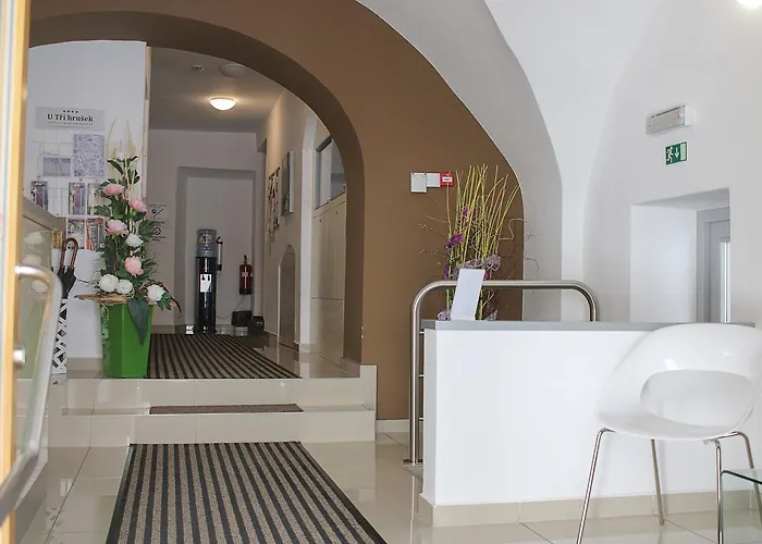 U Tri Hrusek & 아파트호텔 체스케부데요비체